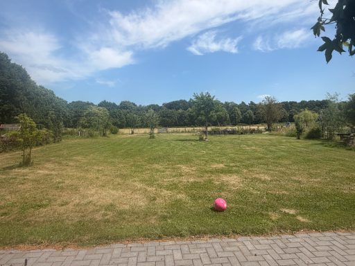 Wiese zum Spielen ,chillen oder Grillen für unsere Gäste